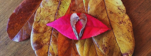 Giving Thanks & Appreciating You