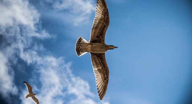Activating Freedom and Liberation In Unlikely Places