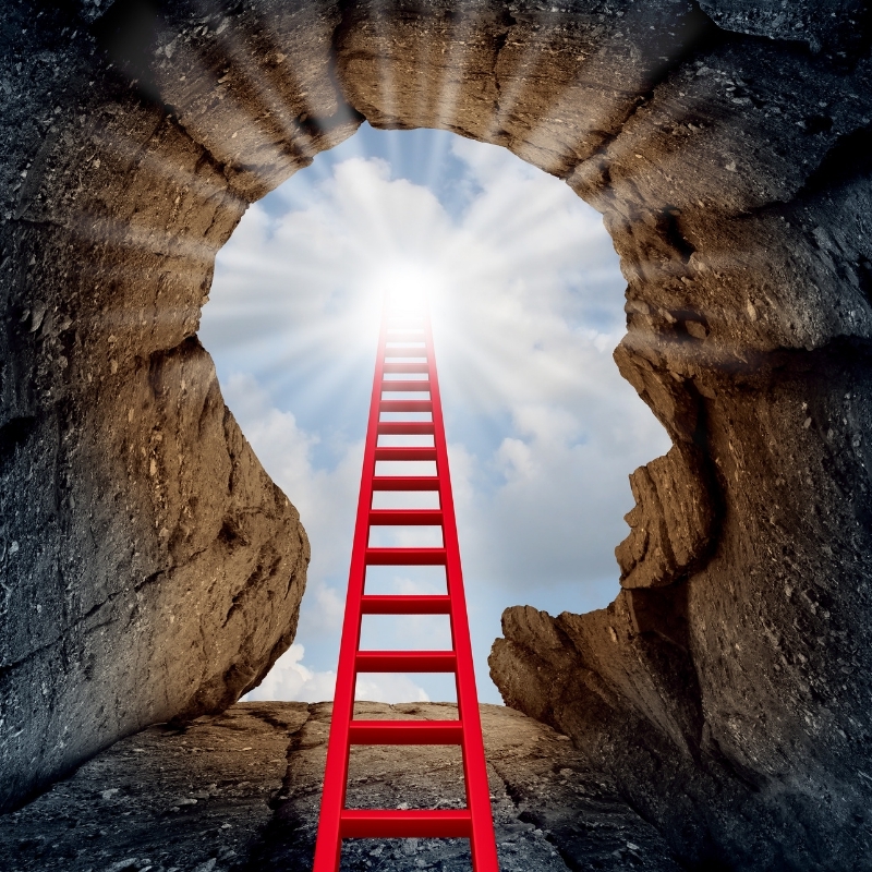 Think & Grow Rich in 13 Steps